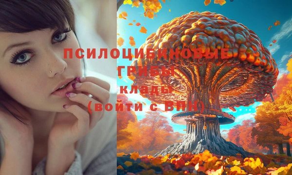 мдма Каменногорск