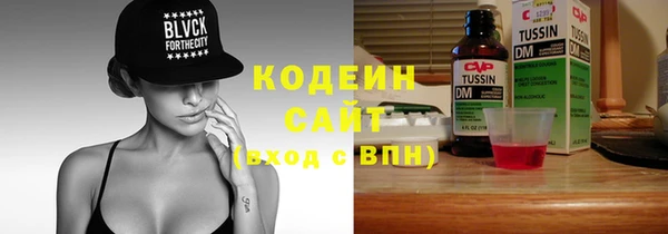 дурь Карпинск
