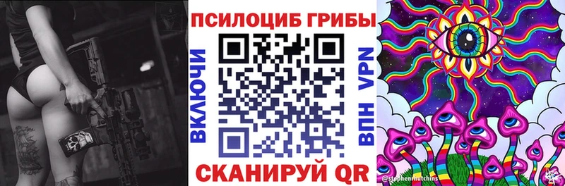 Купить  Новоалтайск  Псилоцибиновые грибы мицелий 